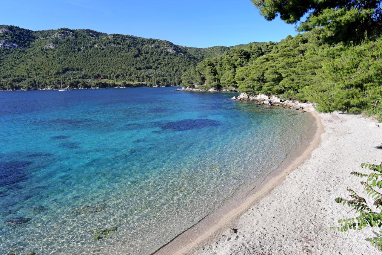 Apartments By The Sea Zuljana, Peljesac - 19080 Kültér fotó